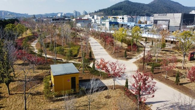 광양읍 전남도립미술관 주변 녹지.