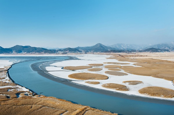 용산전망대에서 내려다 본 순천만 겨울 풍경.