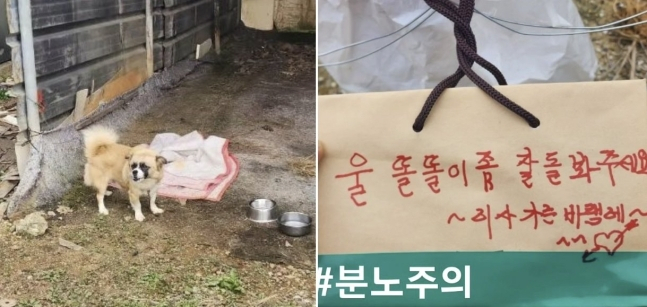 [동물보호연대 SNS 캡처]
