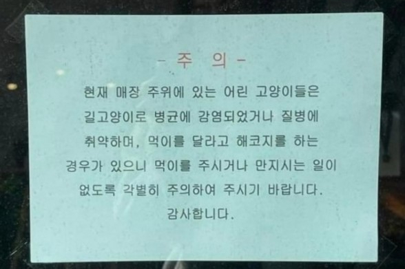 [김하연 사진작가 SNS]