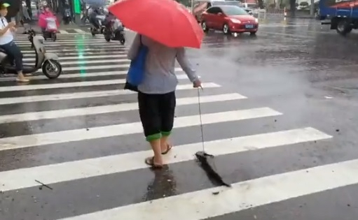 [영상]목줄에 강아지 아닌데…우산 쓴 여성과 산책 나온 동물, 정체?