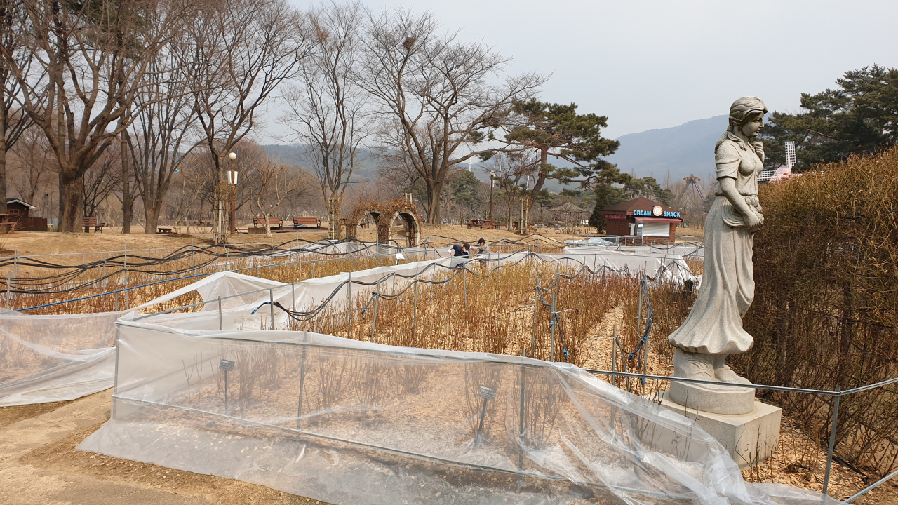 식물 보온조치에 나선 서울대공원 가든 전경. [서울시 제공]