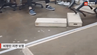 [레인보우로보틱스]