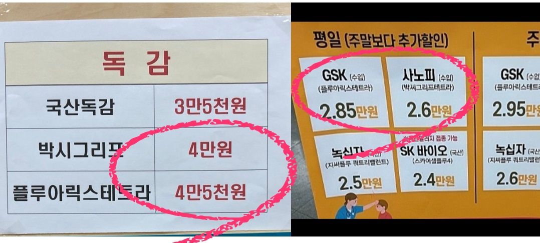 서울 송파구 A병원과 B병원에 게시된 독감 백신 접종 비용[독자 제공 및 병원 홈페이지]