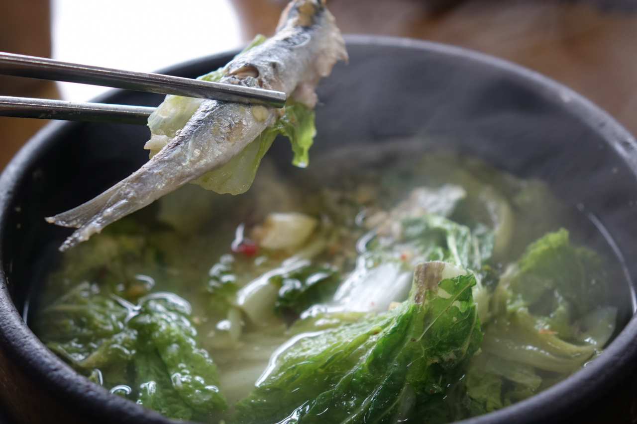 제주 보양미식여행 ‘입맛도심’,고기국수,몸국[함영훈의 멋·맛·쉼]