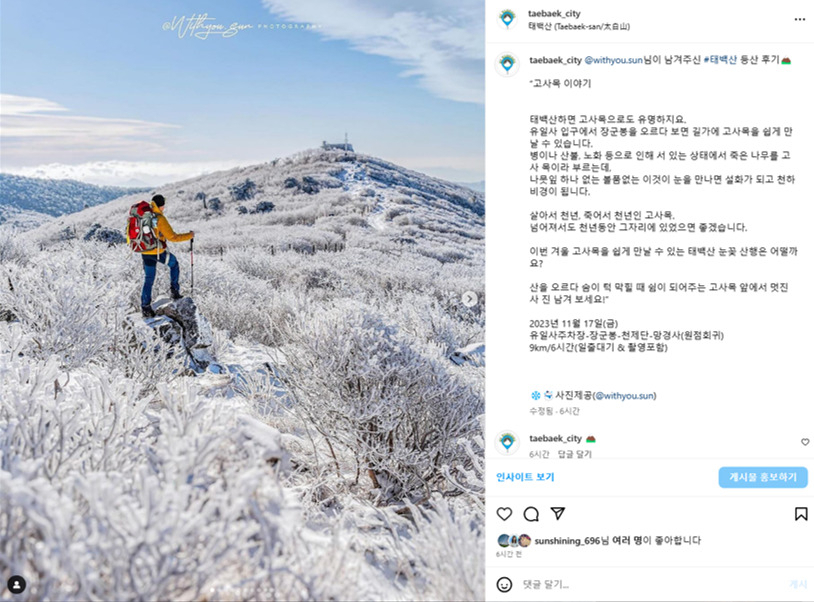태백시 인스타가 소개하는 태백산 눈꽃