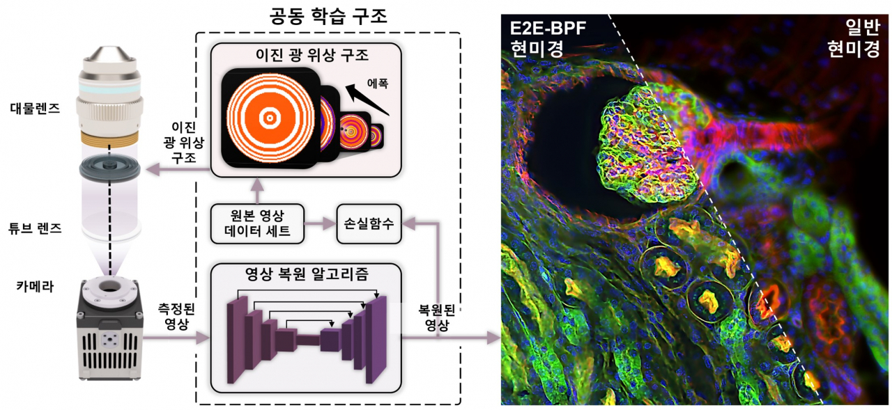 딥러닝 기반 고심도 산술 영상 플랫폼, E2E-BPF 현미경의 원리.[연세대학교 제공]