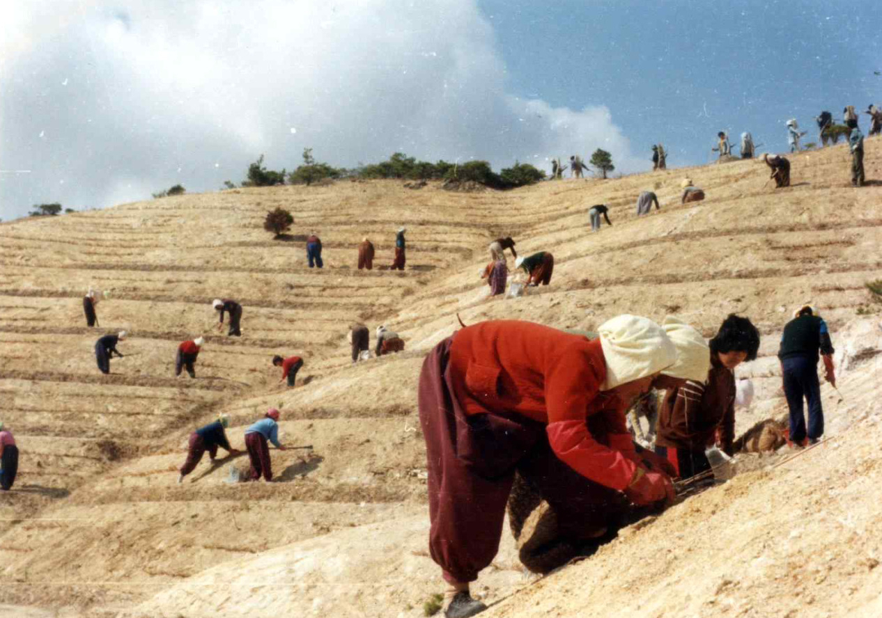 1973~1977년 영일만 복구사진 [문화재청 제공]