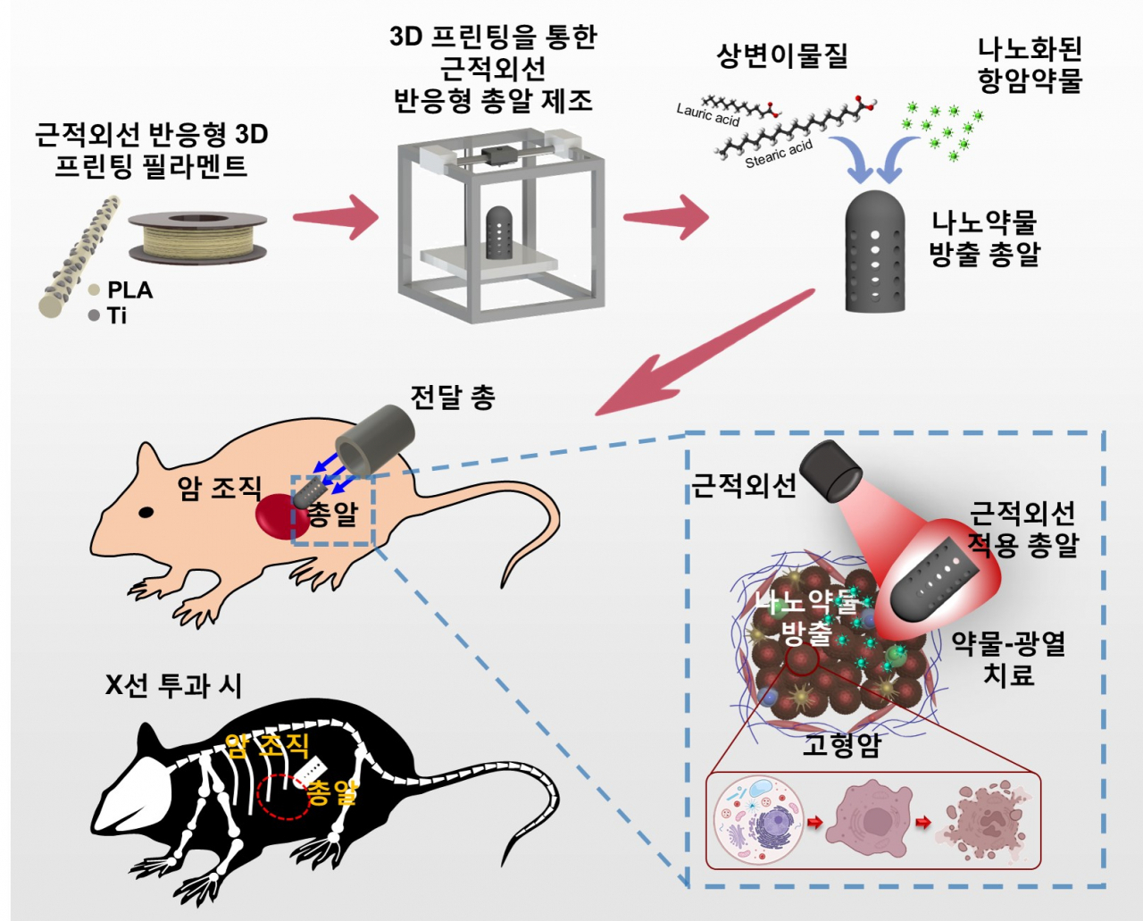 근적외선 유발 약물-광열 치료를 위한 3D 프린팅 나노약물 방출 총알 개요도.[가톨릭대학교 제공]