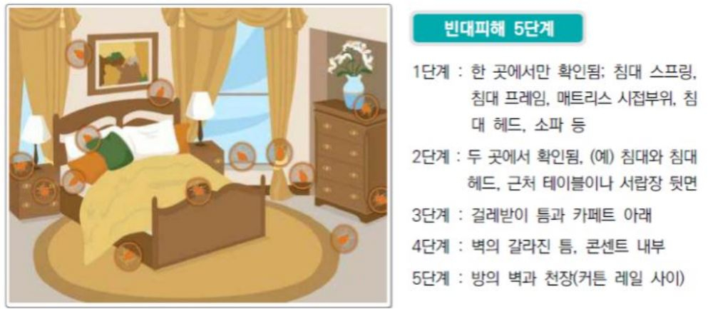 빈대 피해 5단계 확인 [서울시 제공]