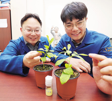 한순규(왼쪽) KAIST 교수가 국내 자생식물 ‘광대싸리’를 살펴보고 있다. [KAIST 제공]