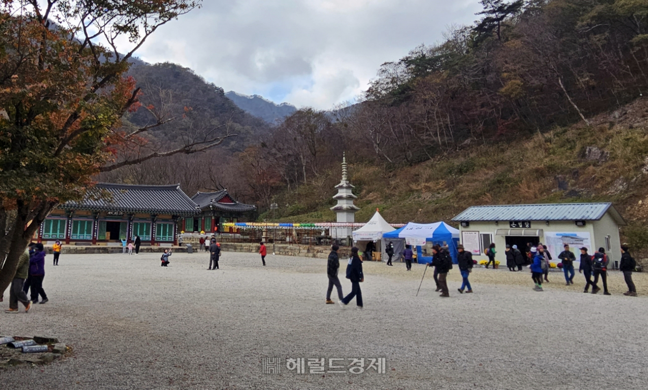 내장사 경내. 대웅전이 불로 소실된 탓에 컨테이너 형태로 임시 대법당을 운영 중이다.