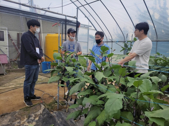 지역맞춤형 소득작물 육성 시범사업.〈김포시 제공〉