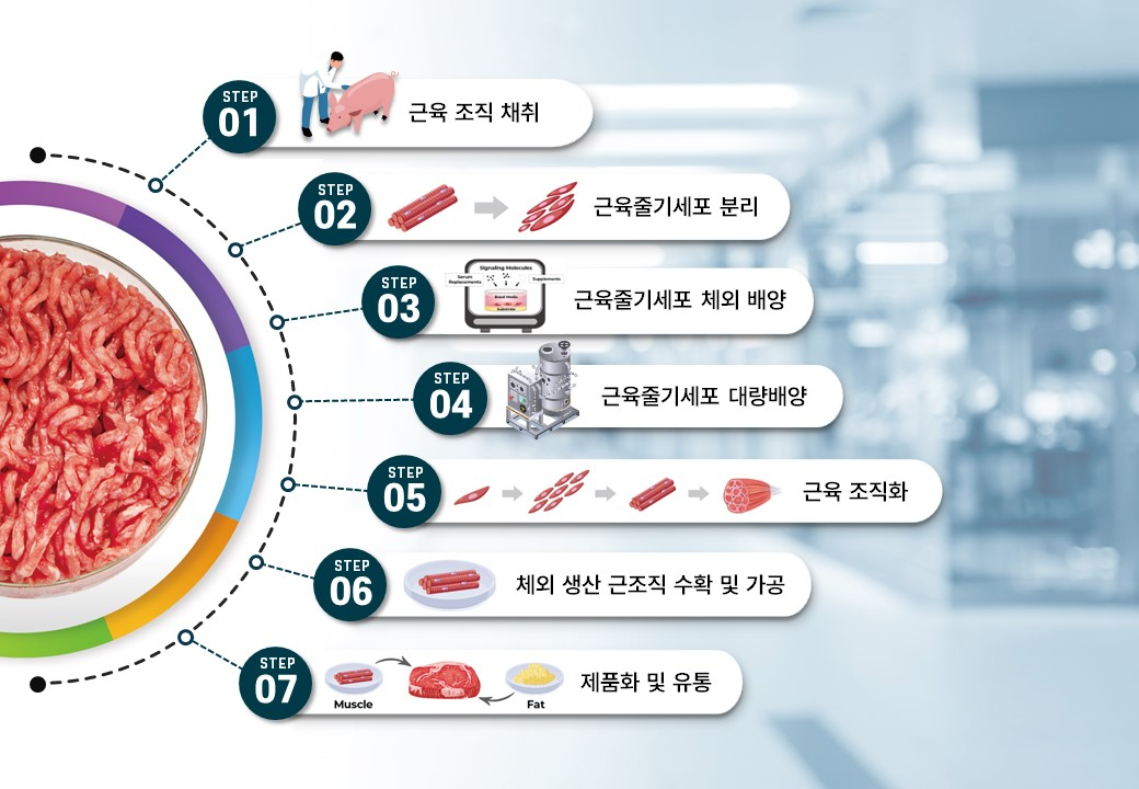 배양육 생산 모식도.[KIT 제공]