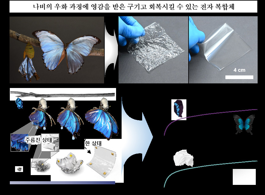 “폴더블폰 주름 갈라짐 완벽해결” 자가복원하는 ‘스마트 소재’ 나왔다