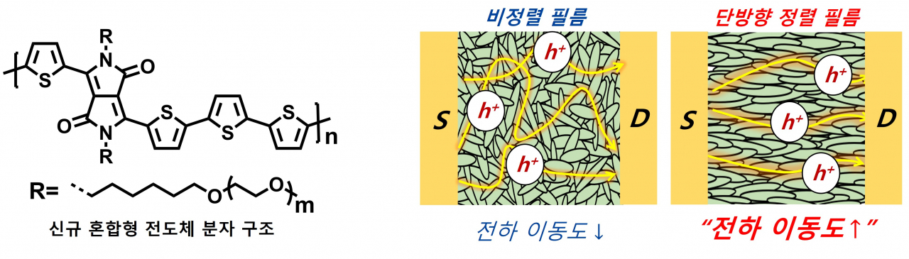 혼합형 전도체 분자 구조 및 (우) 일반 코팅(비정렬 필름) 및 미세구조 정렬 기술(단방향 정렬 필름)로 제작한 필름 형상 및 이에 따른 전하 이동 모식도.[GIST 제공]