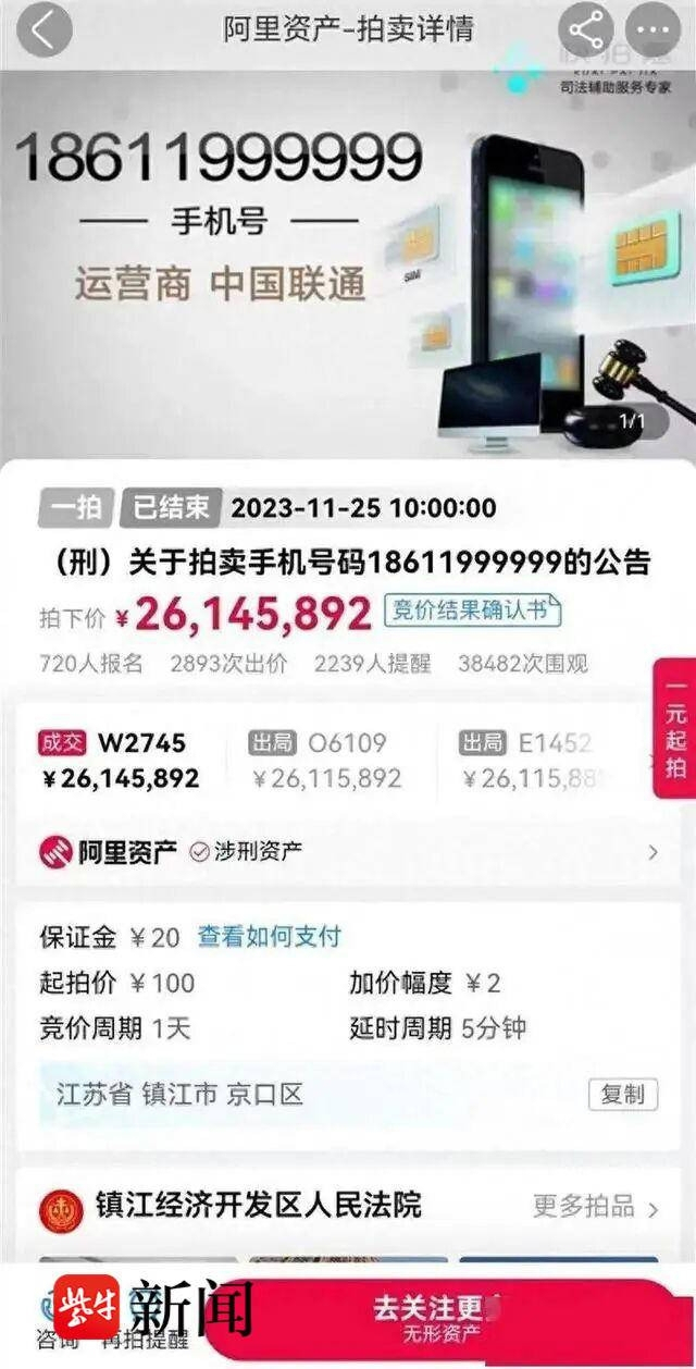 중국 장쑤성 진장경제개발구법원이 진행한 경매에서 9가 6차례 반복되는 번호(186-119-999999) 낙찰가 공지. [양즈완보 갈무리]