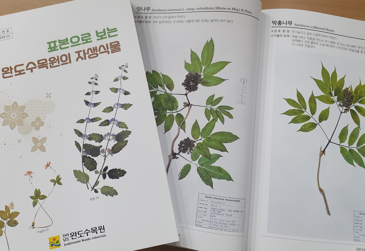 완도식물원 자생식물 포스터