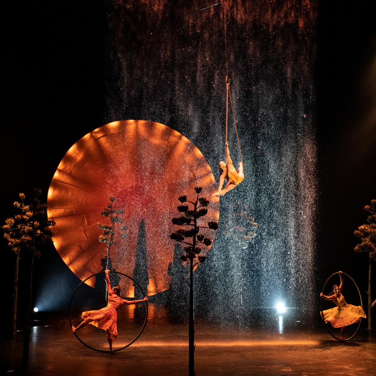 태양의서커스 ‘루치아’ 중 CYR 휠 & 트라페즈(CYR WHEEL AND TRAPEZE) 장면. [마스트인터내셔널 제공]