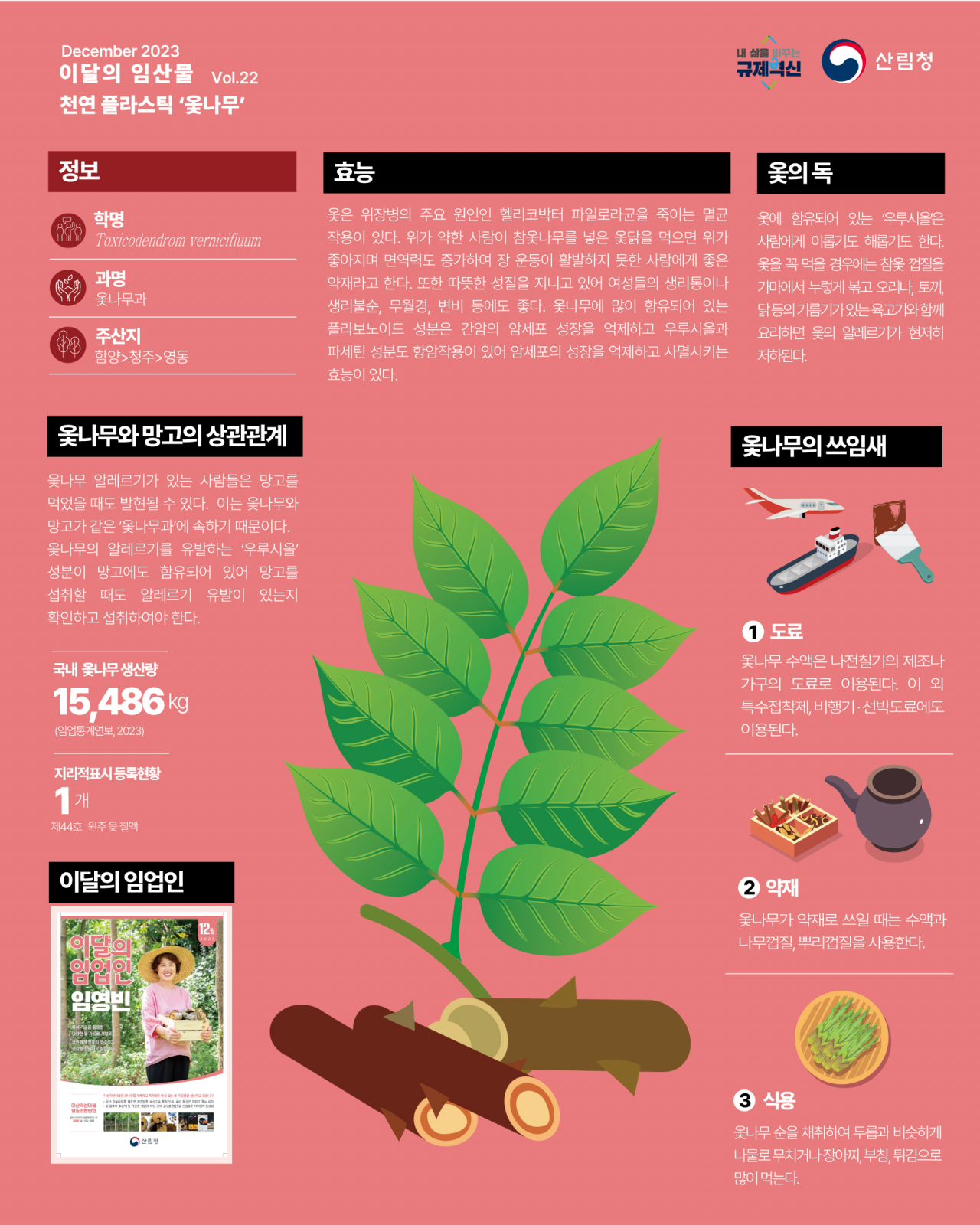 12월 이달의 임산물 포스터