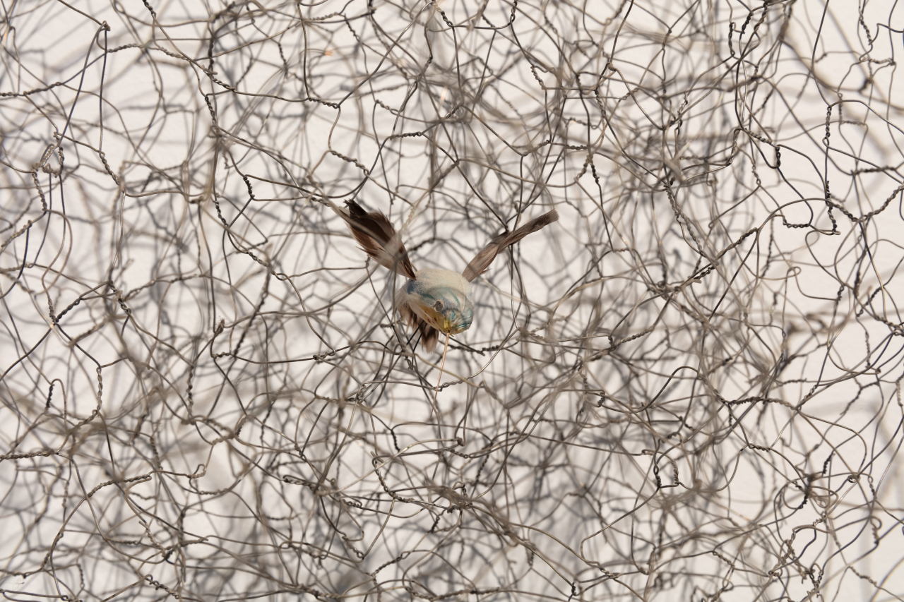 김세일, 불가촉, 철망, 2002. [김종영미술관 제공]