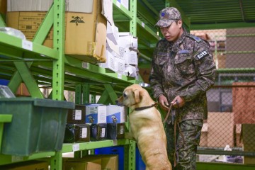Enemy within: Illegal drug cases rare but rising in barracks 