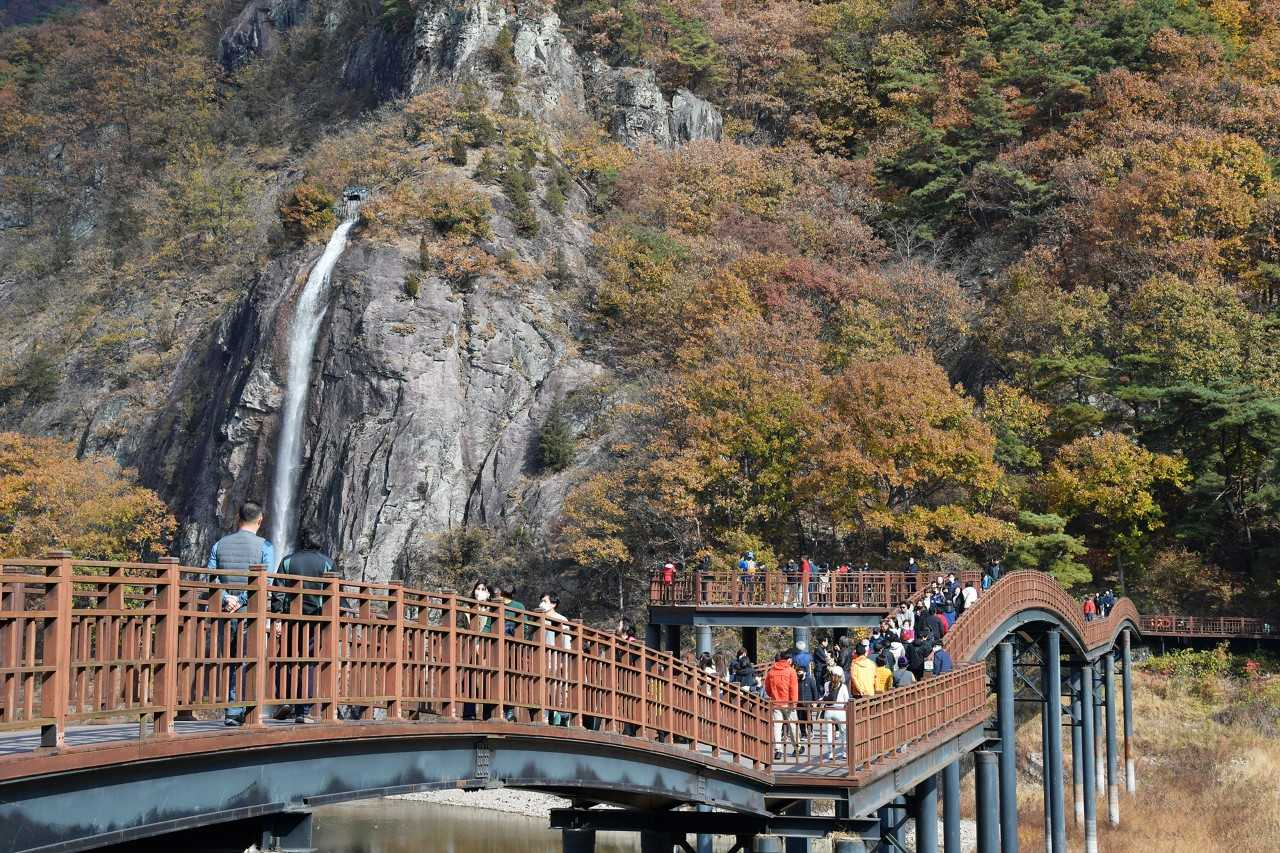 28km에 이르는 담양호 주변 산책로를 최단거리로 가로지르는 미르교를 통해 다양한 트래킹 경로를 개발할 예정이다.