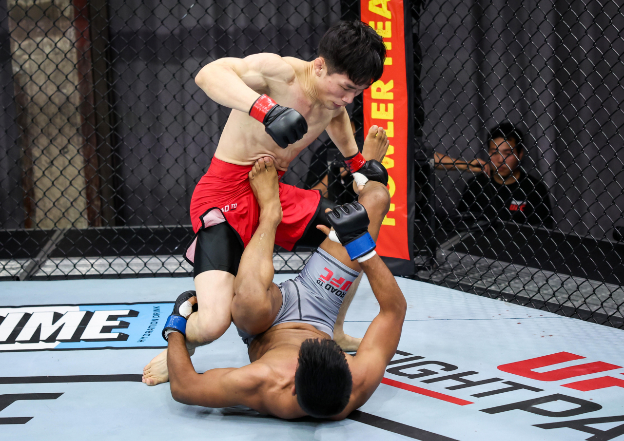 이창호가 상대에게 파운딩을 가하고 있다. [UFC 제공]