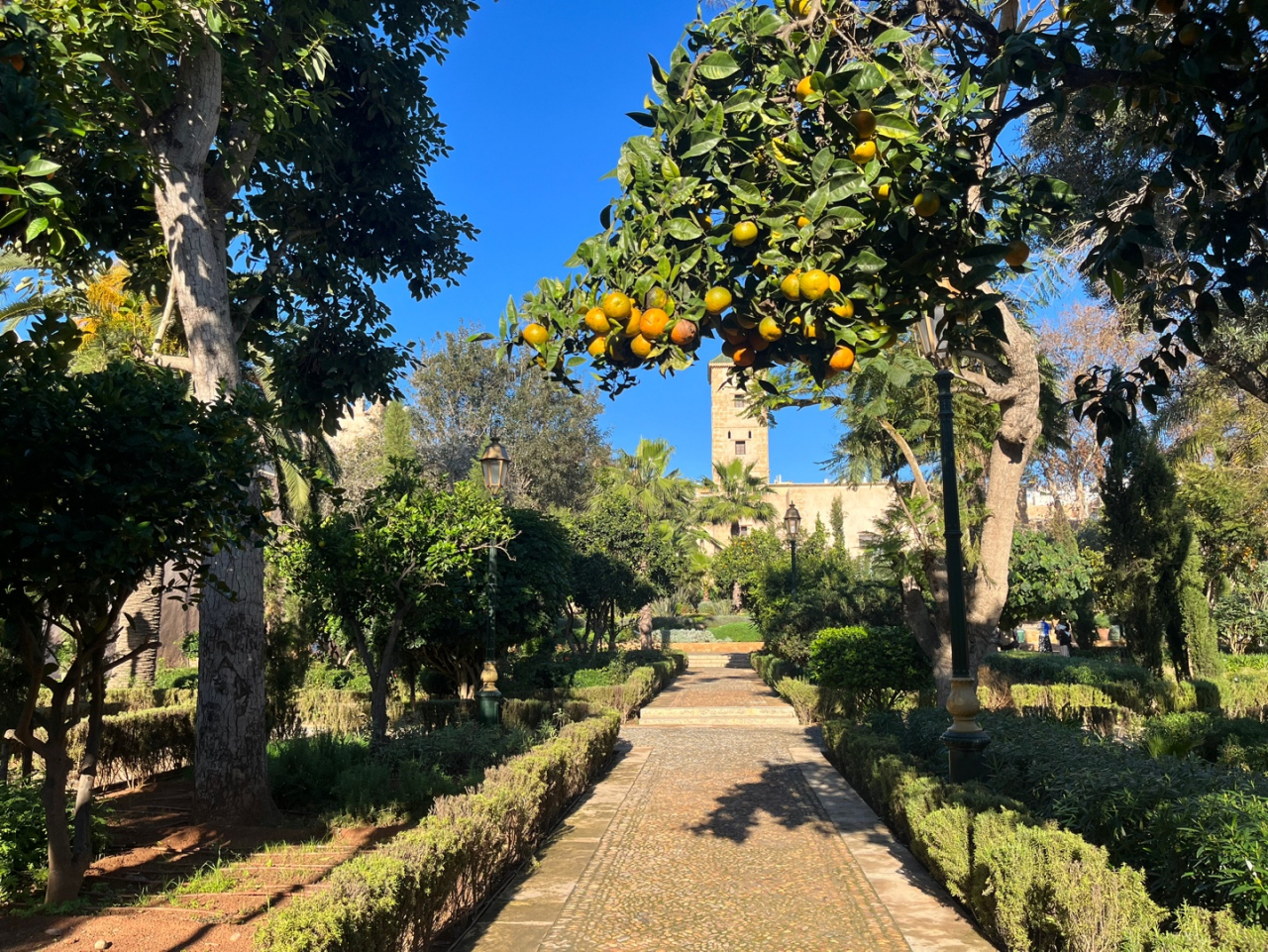 The Andalusian Gardens in Rabat, Morocco. These gardens, designed by the French during the French protectorate period (1912-1956), are located within the Kasbah des Oudaias. Full of citrus trees, lofty palms and vibrant bougainvilleas, they make a wonderful shady retreat. (Lee Jaeeun/The Korea Herald)