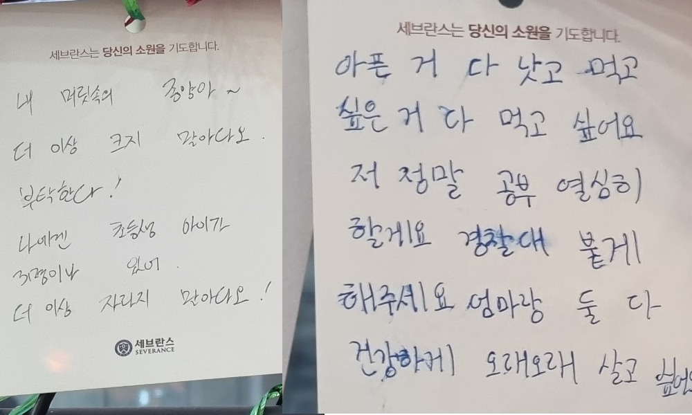 신촌 세브란스 병원 로비 내 걸려 있는 소원 카드들 [김상수 기자]
