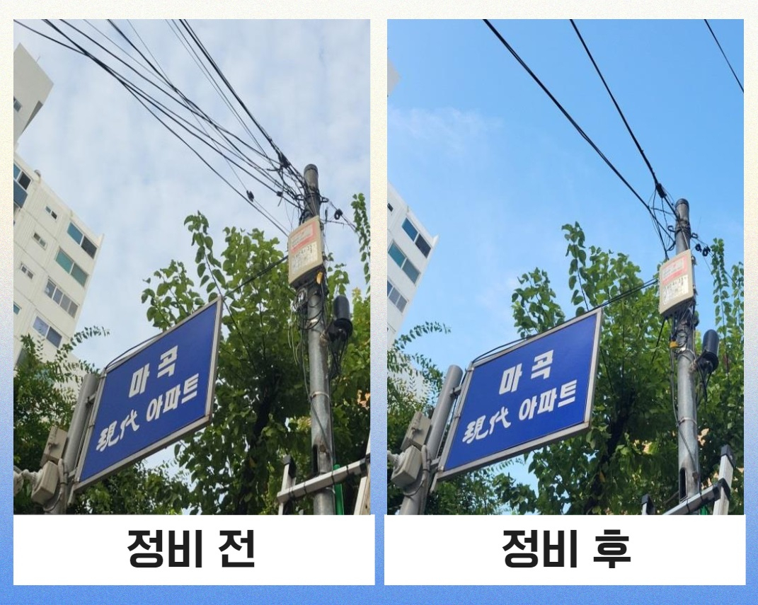 [강서구 제공]