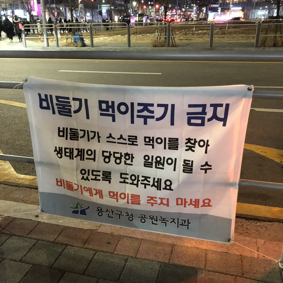 “먹이 주지 마세요” 춥고 배고플까봐…함부로 비둘기 먹이 줬다가는 [지구, 뭐래?]