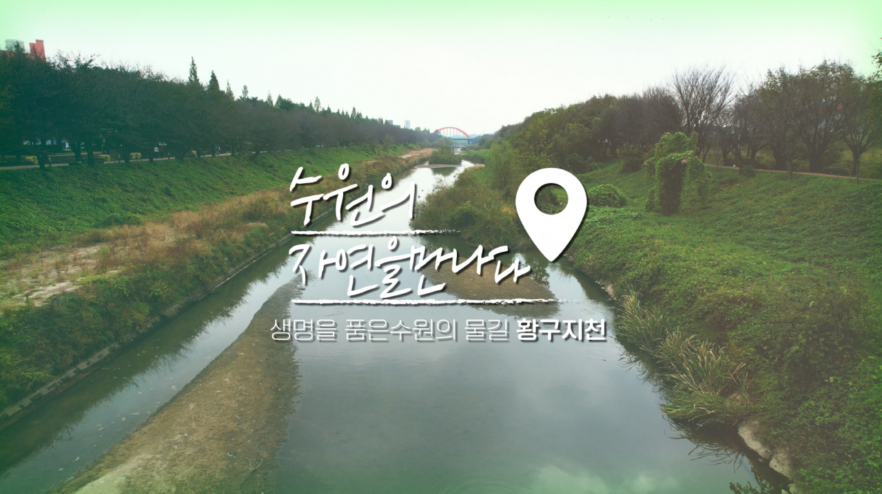 수원시, 수원의 자연환경 영상 볼 수 있는 ‘스마트 환경교육 스팟’ 운영.[수원시 제공]
