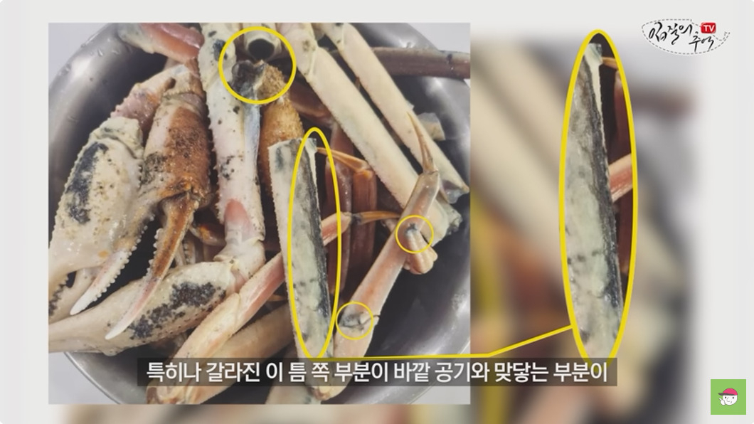 ['입질의 추억' 유튜브채널 갈무리]
