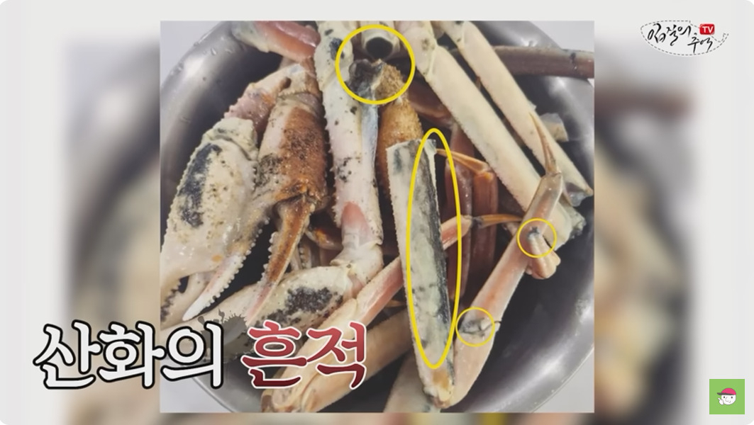 ['입질의 추억' 유튜브채널 갈무리]