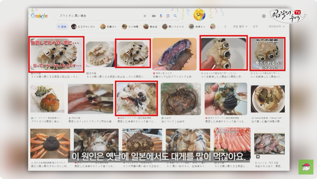 일본에서도 과거 까맣게 변한 대게의 품질 논란이 빚어졌다고 한다. ['입질의 추억' 유튜브채널 갈무리]