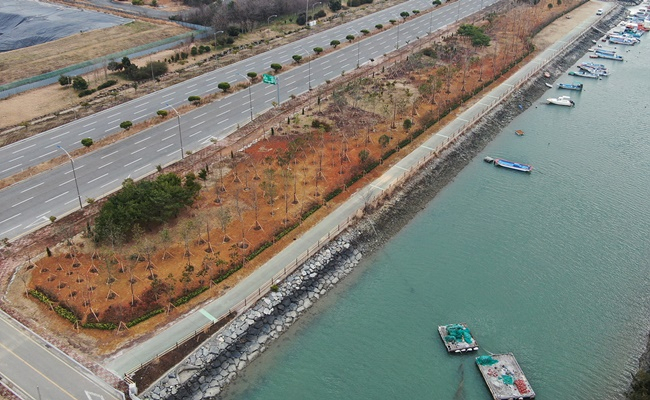 율촌산단 미세먼지 차단 숲.