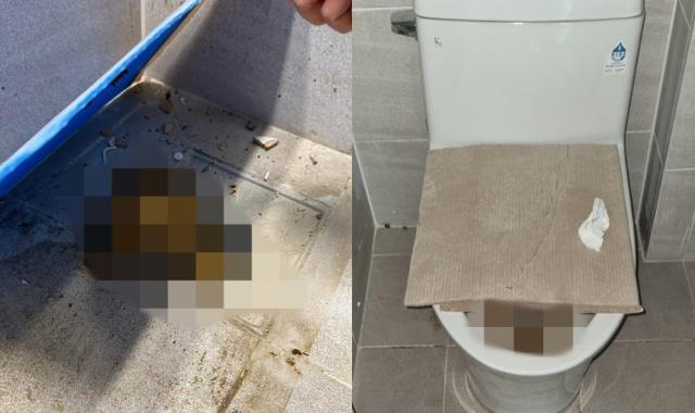 이달 말 입주를 앞둔 세종 산울동 한 신축 아파트 화장실에서 인분으로 추정되는 오물이 발견됐다. [보배드림 캡처]