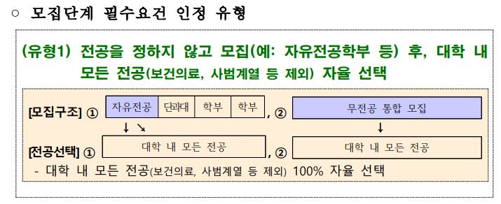 교육부가 각 대학에 제시한 대학혁신지원사업 개편안 시안. [교육부 제공]