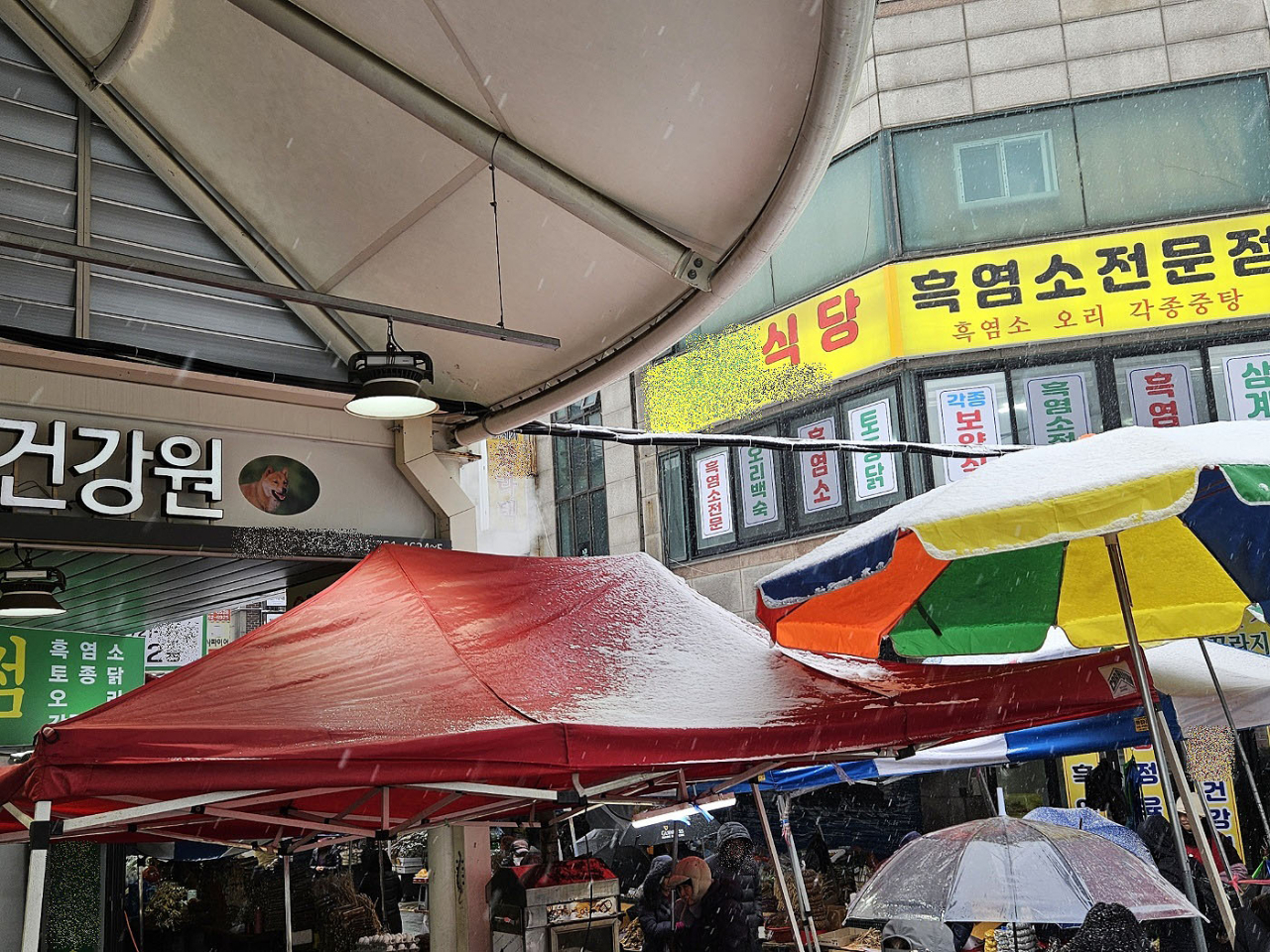 '개 식용 금지법' 국회 본회의 처리가 예정된 9일 오후 찾아간 경기 성남 모란시장 풍경. 모란시장은 한때 전국 최대 개 시장으로 꼽혔던 곳으로 이 법안이 제정되면 시장 내 '개고기' 취급 점포가 문을 닫게 될 것으로 보인다. [연합]
