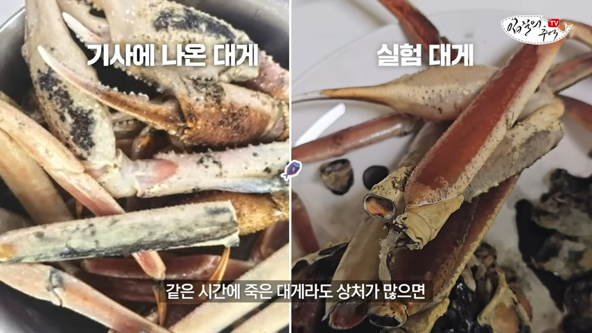 [유튜브 '입질의 추억']