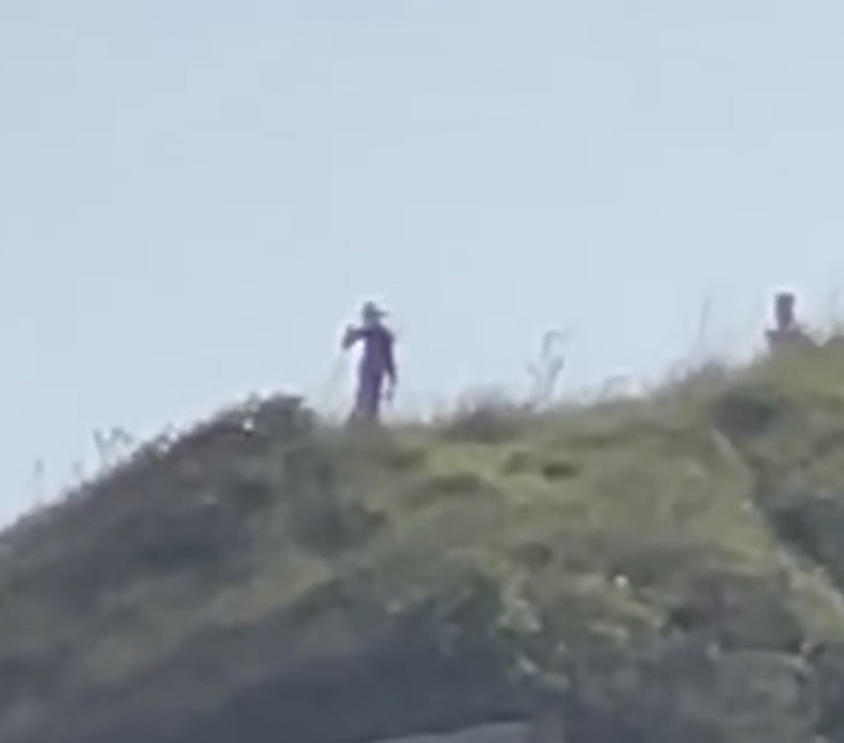 브라질 일하도 멜에서 포착된 외계인 의심 생물체의 모습. [데일리메일 갈무리]