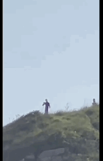브라질 일하도 멜에서 포착된 외계인 의심 생물체의 모습. [데일리메일 갈무리]
