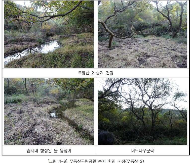 무등산·지리산에 숨겨진 습지 3곳 확인