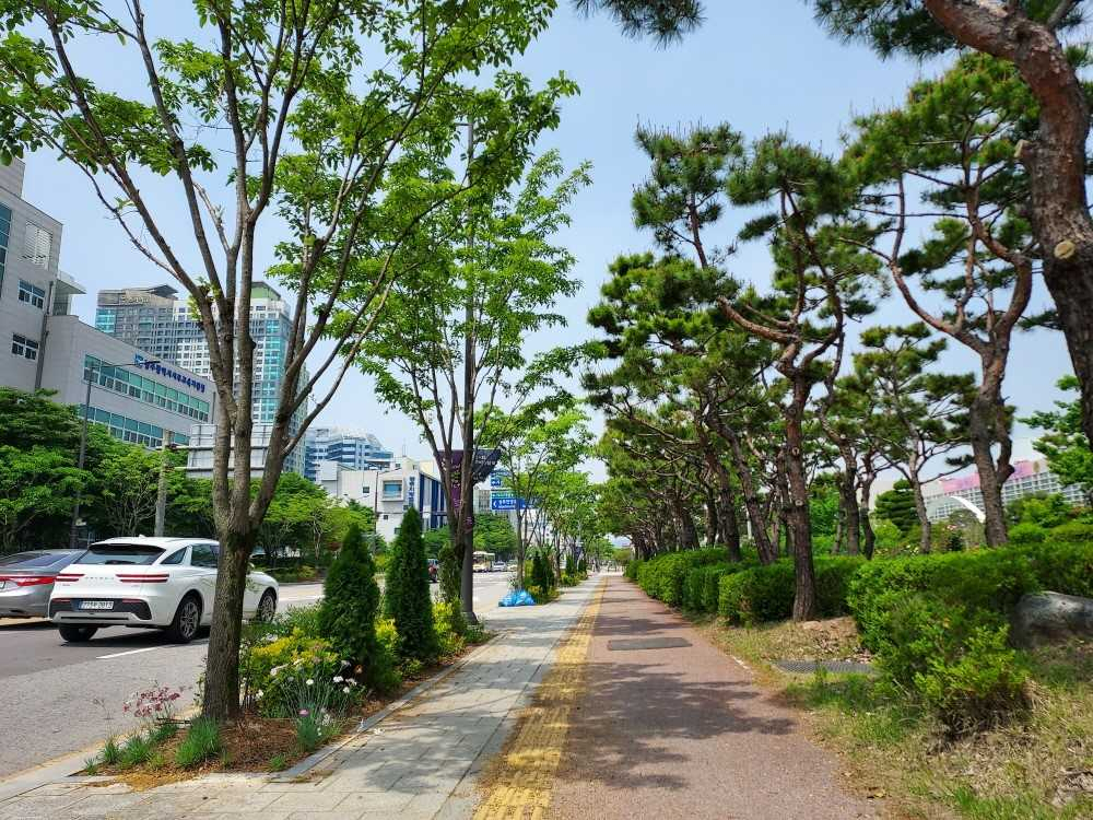광주시 58억 들여 도시숲 25곳 추가 조성