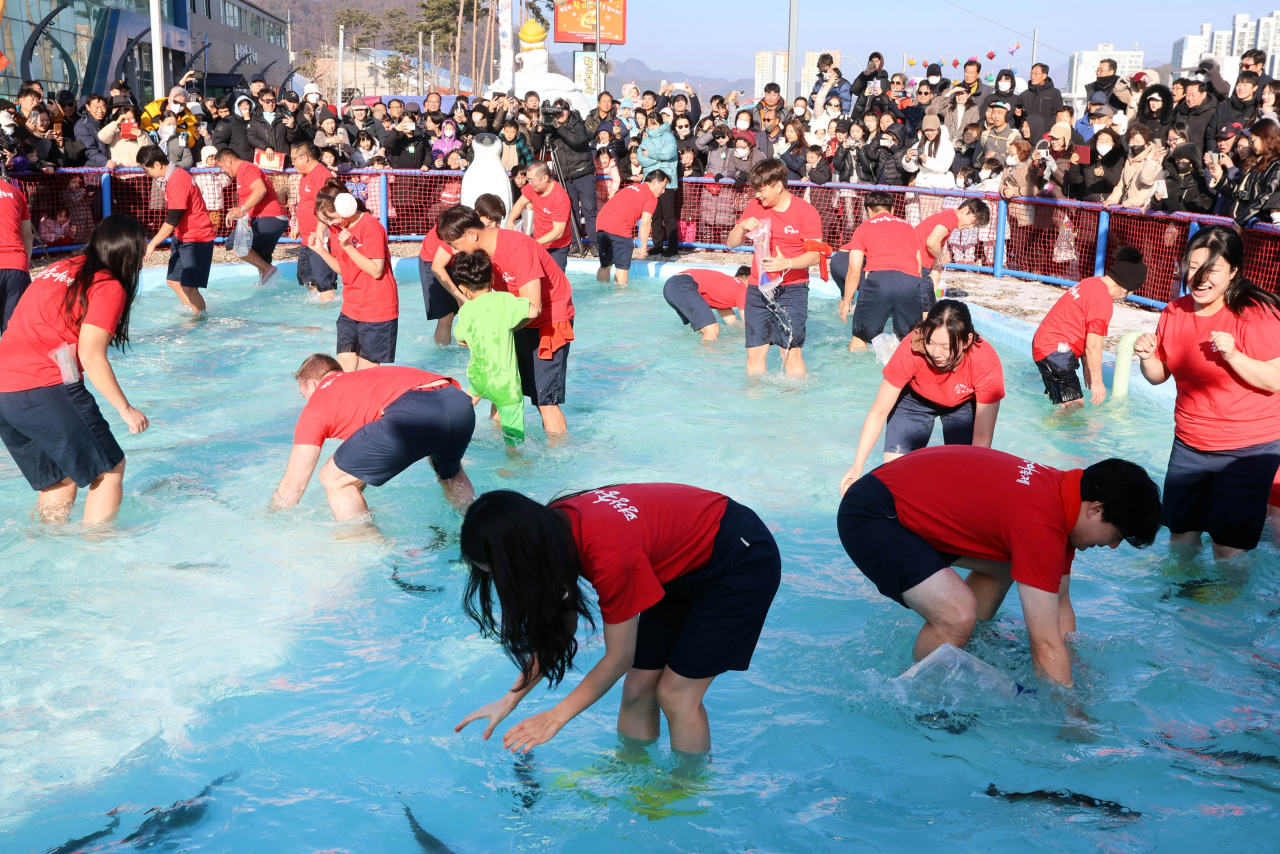 이것이 황금송어냐 내 발이냐...청소년 올림픽 개막을 하루 앞두고 열기를 더하고 있는 평창송어축제