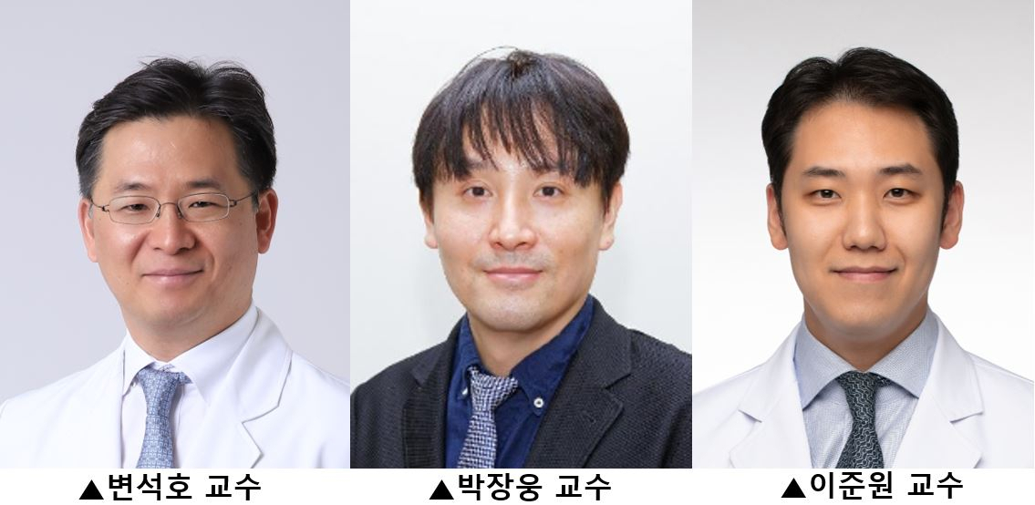 [세브란스병원 제공]