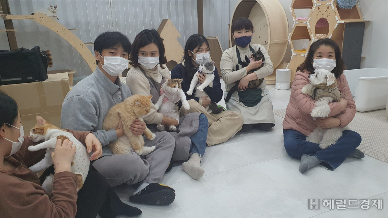 '꿈꾸는 고냥이' 회원들이 19일 고양이쉼터에서 유기고양이들과 기념사진을 촬영하고 있다. 서인주 기자