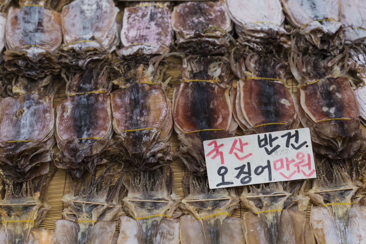 “맛있어 즐겨 먹었는데” 점점 사라져…귀한 안주 된 오징어 [지구, 뭐래?]