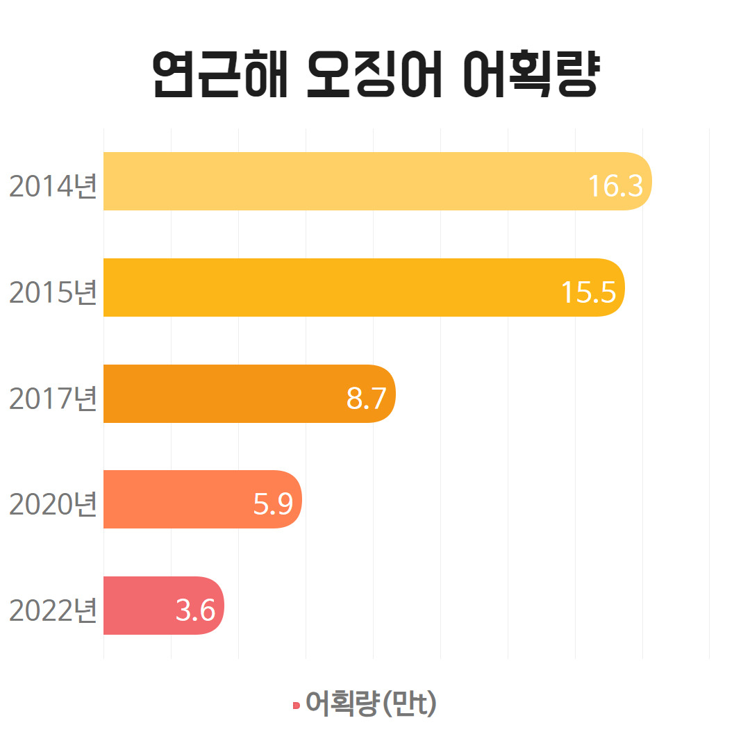 “맛있어 즐겨 먹었는데” 점점 사라져…귀한 안주 된 오징어 [지구, 뭐래?]